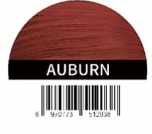 Auburn