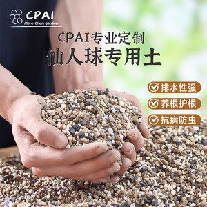 Cactus Nutrient Granules Expanded Clay Soil Medium For Succulent Planting Home Balcony Gardening 800g - Product Image 3