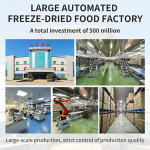 Thưởng thức trong sự phong phú của đóng băng Khô Cà phê hòa tan chất lượng không thỏa hiệp trong mỗi ngụm đóng băng Khô Cà phê hòa tan - Product Image 5