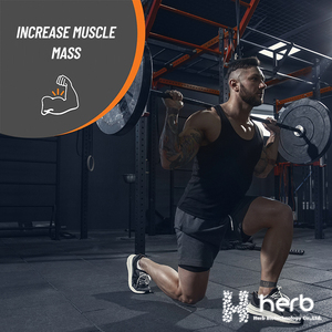 Nhãn hiệu riêng <span class=keywords><strong>Pre</strong></span> Workout bổ sung tăng trưởng cơ bắp Creatine Monohydrate Gummies - Product Image 3