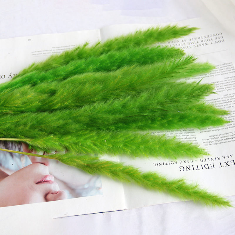 สีเขียว