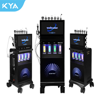 Meilleure vente usine : Appareil de beauté facial multifonctionnel Master Hydro Face pour dermabrasion, SPA et Hydro Booster