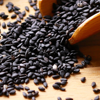 Graines de sésame noires de qualité supérieure, origine Chine, pureté 99%, prix usine