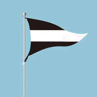 Producto en Oferta, Juego Completo de Banderas de Señales de Código Internacional, Precio de Venta Económico, Gran Cantidad, Gran Descuento