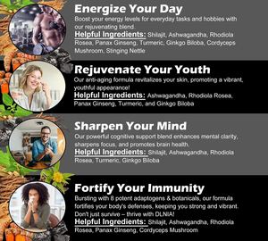 Personalizado Shilajit Cápsulas Himalayan 8 em 1 Suplemento Shilajit com Ashwagandha Ginseng para suporte imunológico Energy Boost - Product Image 4