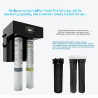 Machine à eau pure Everpure MDRO800/1200/1600, filtre à eau du robinet commercial pour les cafés, double sortie d'eau sur site