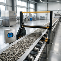 Detector de Metales Industrial Avanzado de Alto Rendimiento con Función de Marcación de Tiempo Precisa para Alimentación de Carbón en Plantas de Energía
