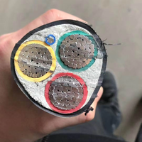 Cable de Alimentación de Cobre de Bajo Voltaje Premium con Revestimiento de PVC y Múltiples Clasificaciones de Corriente para Distribución de Energía