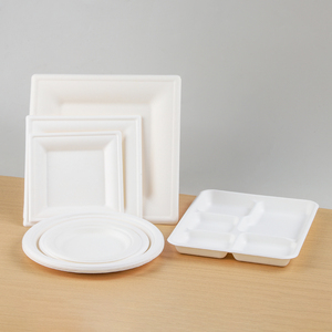 Compostable <strong>Biodegradable</strong> <strong>Disposable</strong> Sugarcane Pulp Bagasse Takeout Container Sushi Food Serving <strong>Trays</strong> with Pla Lid - Product Image 2