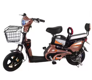 Bicicleta Eléctrica Urbana con Motor Trasero sin Escobillas de 48V 350W, 3 Velocidades, Cuadro de Acero, Batería de Plomo-Ácido, Precio de Fábrica Económico - Product Image 2