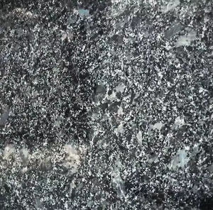Dalles de granit gris acier 2 cm polies |   Granite gris indien pour applications extérieures et de revêtement de sol |   Qualité d'exportation - Product Image 1