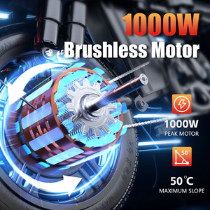 Venta al por mayor de fábrica: Nuevo estilo de motor eléctrico de 1000W para adultos G16, popular en China, motor de 48V 350W, venta al por mayor barata. - Product Image 5