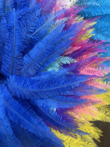 Plumas de Avestruz <span class=keywords><strong>Nandu</strong></span> al por Mayor, Plumas de Avestruz Moradas, Rosas, Blancas, Amarillas y Negras, Plumas de Avestruz Grandes para Vestidos al por Mayor - Product Image 4