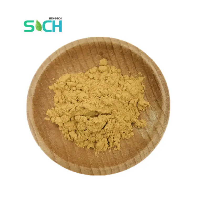 Wholesale Price Kola Nut Seed Extract Powder Organic Fresh Kola Nut Extract