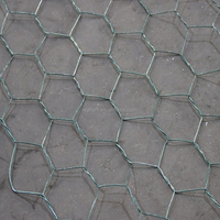 Grillage gabion galvanisé en nid d'abeille avec technologie de tissage, haute perméabilité et flexible pour les projets de stabilisation