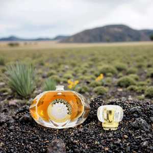 Botella de Perfume Vacía Transparente con Cierre a Presión, 30ml 50ml 100ml, Botella de Perfume de Vidrio Irregular con Caja de Regalo, Venta al Por Mayor - Product Image 5