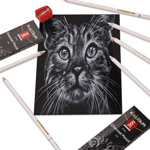 KALOUR 6 <span class=keywords><strong>matita</strong></span> professionale a carbone bianco <span class=keywords><strong>per</strong></span> schizzi e <span class=keywords><strong>disegno</strong></span> In scatola di latta e personalizzazione disponibili - Product Image 4