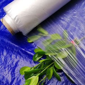 Nhà Máy Giao Hàng Trực Tiếp Trắng Trong Suốt Pe Nông Nghiệp Màng Nhựa Polyethylene Nhựa Cho Nông Nghiệp Sử Dụng - Product Image 6