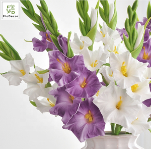 <span class=keywords><strong>Fiore</strong></span> Artificiale di Gladiolo in PU di Alta Qualità, 56cm, Effetto Realistico, Bianco Rosa <span class=keywords><strong>Viola</strong></span>, per Decorazioni Matrimoni, Feste Invernali ed Eventi - Product Image 2