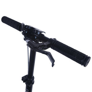 Commercio all'ingrosso professionale due ruote Scooter per adulti OEM auto Scooter adulti <span class=keywords><strong>Scouter</strong></span> senza Scooter <span class=keywords><strong>elettrico</strong></span> per adulti - Product Image 2