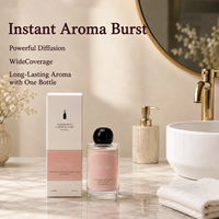 Diffuseur de parfum à fleurs séchées avec bâtonnets en bois Sola dans un vase en verre transparent pour une décoration intérieure luxueuse, cadeau parfumé