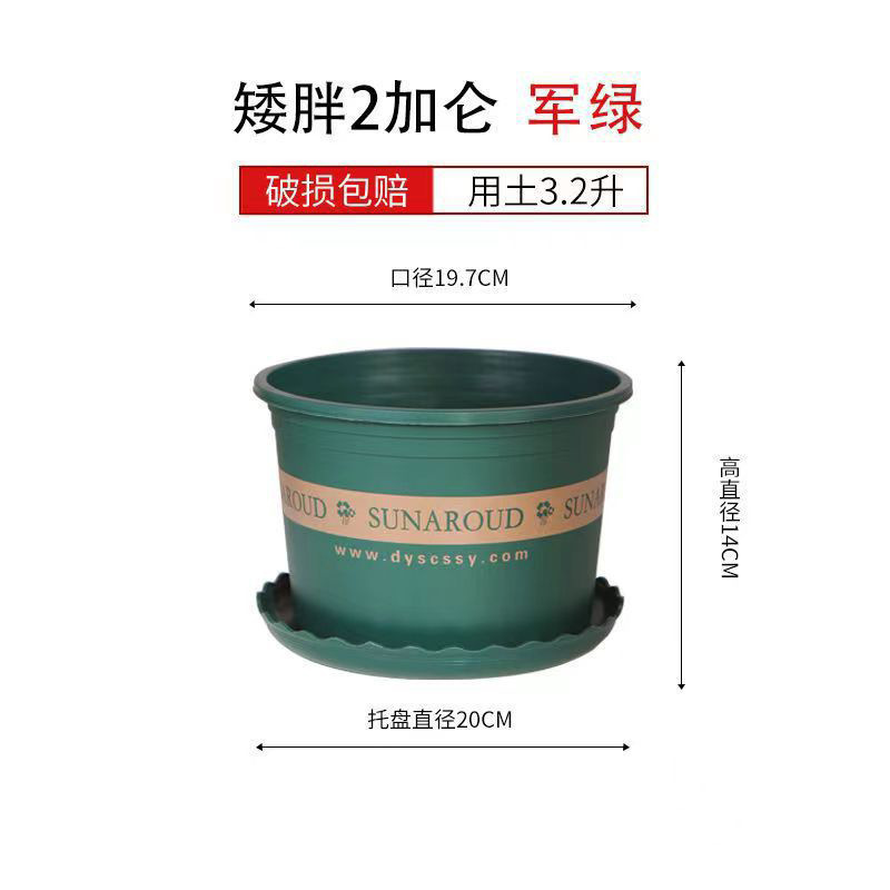 Court Taille 2 [Diamètre 20cm] 1 pièce