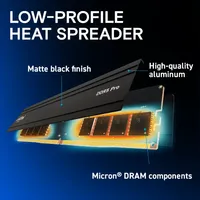 CRUCIAL PRO 16GB DDR5 6000MHZ ( Heatsink) Desktop RAM Engineered for Exceptional Performance and Reliability