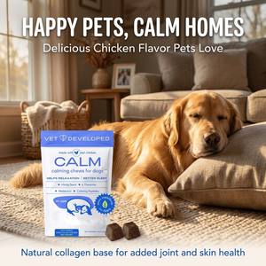 Friandises apaisantes pour animaux <span class=keywords><strong>de</strong></span> compagnie, friandises <span class=keywords><strong>à</strong></span> mâcher molles, soulagement <span class=keywords><strong>de</strong></span> <span class=keywords><strong>l</strong></span>'anxiété, probiotiques, santé intestinale, enzymes digestives, huile <span class=keywords><strong>de</strong></span> saumon sauvage d'Alaska, compléments alimentaires pour la peau, chien - Product Image 4