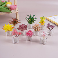 Miniature de plante succulente artificielle en pot, modèle de micro-scène, décoration de bureau, petit ornement, accessoire de photographie