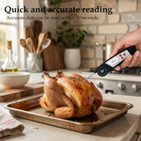 Thermomètre alimentaire numérique professionnel avec sonde pliable en SUS304 pour grillades, rôtissage, friture, restauration et transformation alimentaire