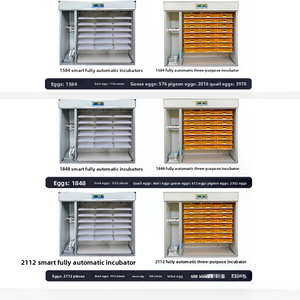 Incubateur d'œufs industriel entièrement automatique, machine d'éclosion intelligente à grande échelle, de <span class=keywords><strong>80</strong></span> à 2112 œufs, pour usage agricole et domestique - Product Image 6
