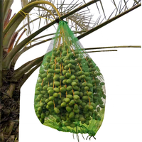 Oogst Mono Bescherming Dadels Palm Netto Zak Herbruikbare Datum Fruitzak