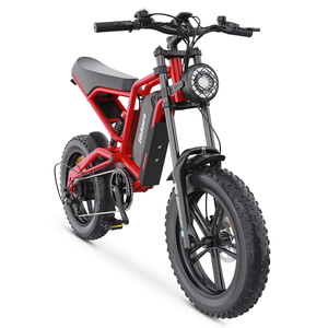 Bicicleta Eléctrica Hidoes B6 con Llantas Gruesas de 20 Pulgadas, 1200w, Velocidad Máxima de 50km/h, Voltaje de 48v, Capacidad de Batería de 15ah, Disponible en Almacenes del Reino Unido, la UE y EE. UU. - Product Image 1