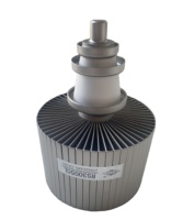 Tube à vide d'oscillation haute fréquence 6KW RS3005CL, lampe d'amplificateur d'électrons radiofréquence RS3005CL