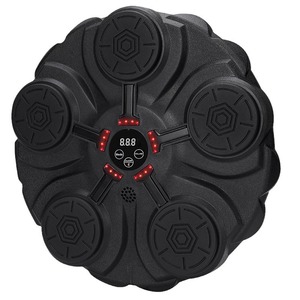Smart Boxing Wall Target Electronic Reaction Training Equipment For Home Fitness Adults And Children With Bluetooth Connectivity - Product Image 1