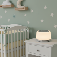 Lampe de chevet portable moderne à commande tactile, machine à bruit blanc pour bébé en ABS, lumière de nuit RVB à changement de couleur, rechargeable