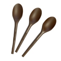 Cuillères à dessert, cuillères à thé et cuillères à glace jetables écologiques en CPLA compostable sans plastique pour usage quotidien et festif