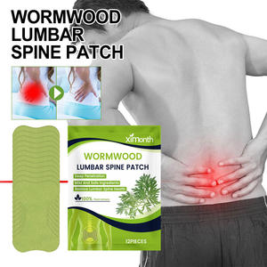 Patchs anti-douleur à l'armoise de Bytech pour les articulations, les os, la taille, les épaules et le cou - Product Image 5