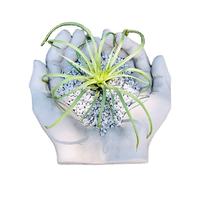 14093 moule en Silicone de ciment de Pot de fleur en forme de main, moule de jardinière succulente en argile de béton, moule de stockage de bijoux en résine de plat