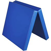 Tapis de sol en éponge PVC direct d'usine pour la pratique de la gymnastique Tapis de roulement et de saut portables Utilisation rapide de gymnastique