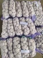 2025 Nieuwe Gewas Optimale Verse Knoflook Groothandelsprijs Import/Export Uit China Aljo Alho Ail Knoflook Leveranciers