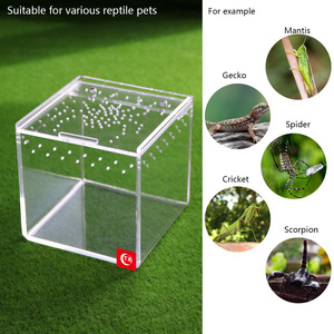 Recintos Transparentes de Acrílico en Forma de Casa para Reptiles y <span class=keywords><strong>Tarántulas</strong></span>, Venta al Por Mayor Directa de Fábrica en China - Product Image 6