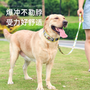 Collier rembourré pour chien imprimé en mousse, grande taille, pour l'entraînement et les sorties, avec laisse tendance - Product Image 4