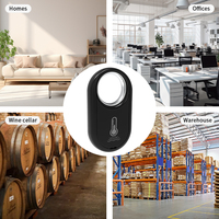 Hygromètre intelligent RSH Tuya BLE, thermomètre, design suspendu, capteur de température ZigBee, détecteur, moniteur d'humidité ambiante