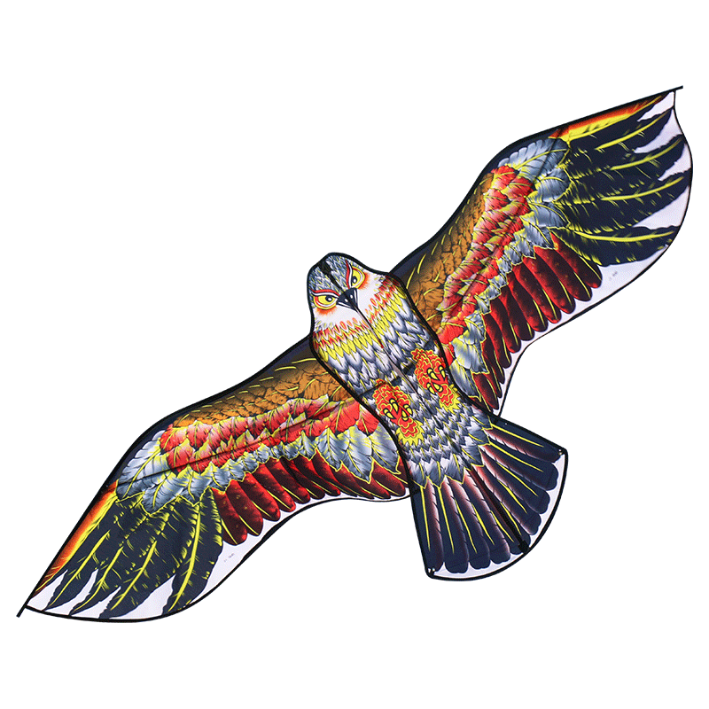 Aigle de 1,8 m de large