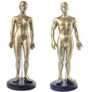 Châm Cứu Mô Hình Châm Cứu Đồng Mô Hình - Product Image 1