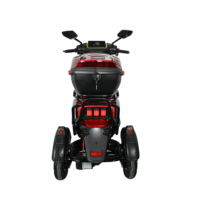 Nouvelle Moto Électrique à Trois Roues 2026 en Promotion, 60V >1000W, Carrosserie Ouverte, 2 Passagers pour Adultes, Haute Vitesse, Prix Abordable