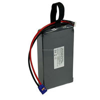 Batterie de drone rechargeable à semi-conducteurs haute capacité 6S 22,2V 80000mAh, décharge 10C, longue autonomie, pour drones industriels