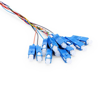 Cable de Fibra Óptica Pigtail SC/UPC de 12 Núcleos de Alta Calidad Apt en Oferta para FTTH