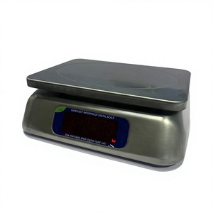 Super-SS 9 304 Stainless Steel Digital Bench Scale3kg 6kg 15kg 30kg IP68-Rated Waterproof OEM Electronic Weighing Equipment - Product Image 2